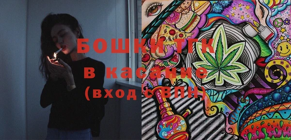 сатива Белоозёрский