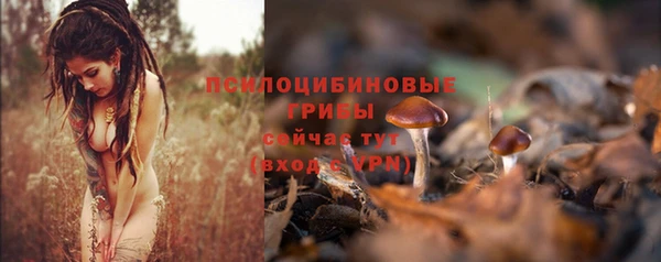 сатива Белоозёрский