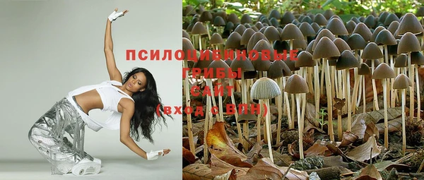 сатива Белоозёрский