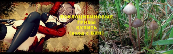 соль курить ск Беломорск