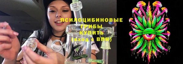 сатива Белоозёрский