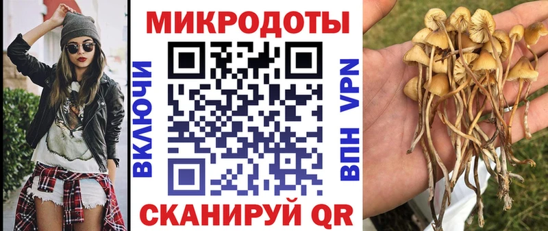 Псилоцибиновые грибы Psilocybe  hydra вход  Надым 